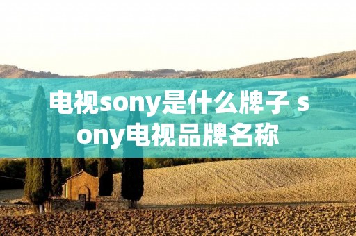电视sony是什么牌子 sony电视品牌名称