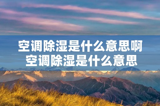 空调除湿是什么意思啊 空调除湿是什么意思模式是什么意思 空调除湿是什么意思啊 空调除湿是什么意思模式是什么意思