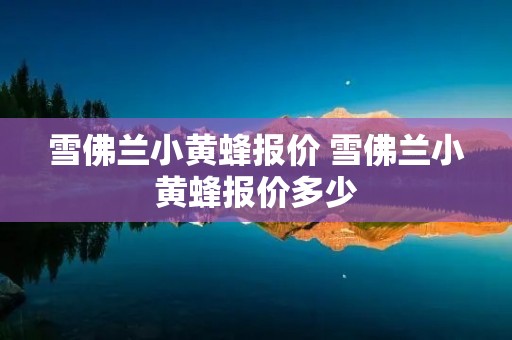 雪佛兰小黄蜂报价 雪佛兰小黄蜂报价多少 雪佛兰小黄蜂报价 雪佛兰小黄蜂报价多少