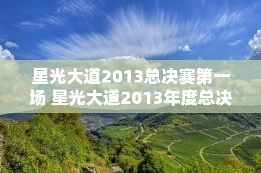 星光大道2013总决赛第一场 星光大道2013年度总决赛