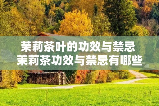 茉莉茶叶的功效与禁忌 茉莉茶功效与禁忌有哪些