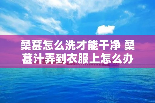 桑葚怎么洗才能干净 桑葚汁弄到衣服上怎么办 桑葚怎么洗才能干净 桑葚汁弄到衣服上怎么办
