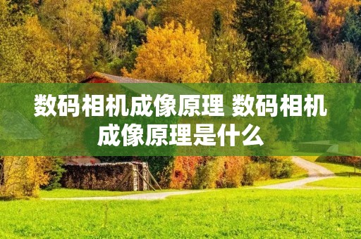 数码相机成像原理 数码相机成像原理是什么