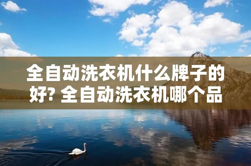 全自动洗衣机什么牌子的好? 全自动洗衣机哪个品牌最好又耐用