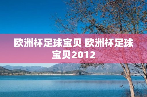 欧洲杯足球宝贝 欧洲杯足球宝贝2012