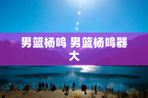 男篮杨鸣 男篮杨鸣器大