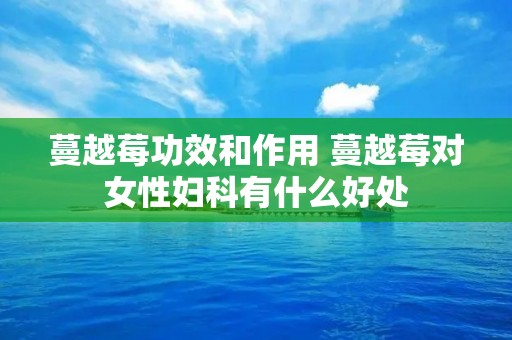蔓越莓功效和作用 蔓越莓对女性妇科有什么好处