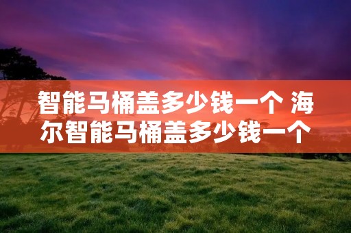 智能马桶盖多少钱一个 海尔智能马桶盖多少钱一个