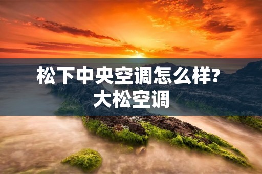 松下中央空调怎么样? 大松空调