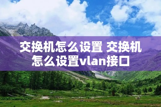 交换机怎么设置 交换机怎么设置vlan接口