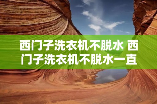 西门子洗衣机不脱水 西门子洗衣机不脱水一直转