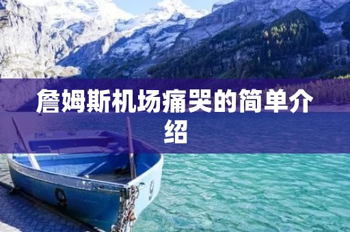 詹姆斯机场痛哭的简单介绍 詹姆斯机场痛哭的简单介绍
