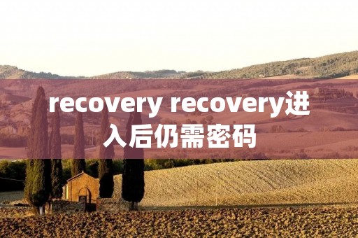 recovery recovery进入后仍需密码