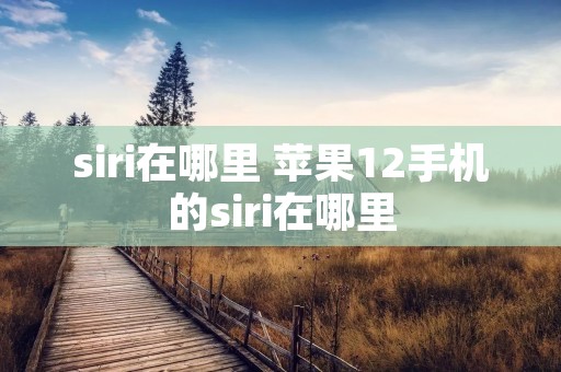 siri在哪里 苹果12手机的siri在哪里