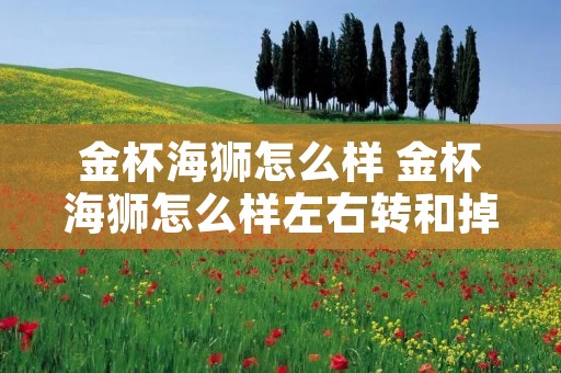 金杯海狮怎么样 金杯海狮怎么样左右转和掉头?