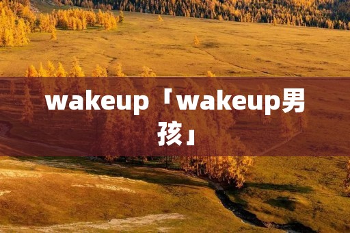 wakeup「wakeup男孩」 wakeup「wakeup男孩」