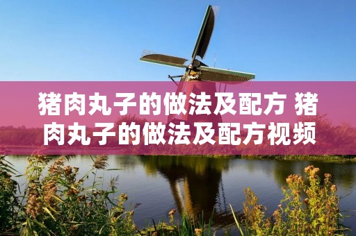 猪肉丸子的做法及配方 猪肉丸子的做法及配方视频