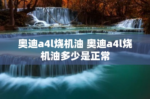 奥迪a4l烧机油 奥迪a4l烧机油多少是正常