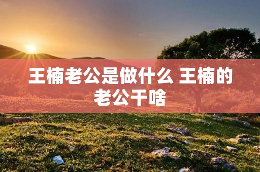 王楠老公是做什么 王楠的老公干啥