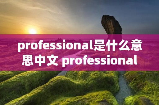 professional是什么意思中文 professionals是什么意思中文