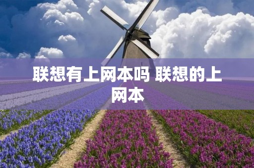 联想有上网本吗 联想的上网本 联想有上网本吗 联想的上网本