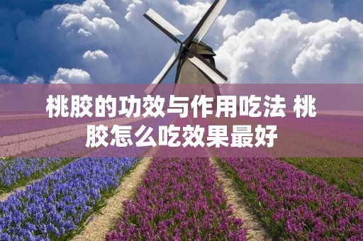 桃胶的功效与作用吃法 桃胶怎么吃效果最好
