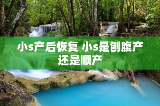 小s产后恢复 小s是刨腹产还是顺产 小s产后恢复 小s是刨腹产还是顺产