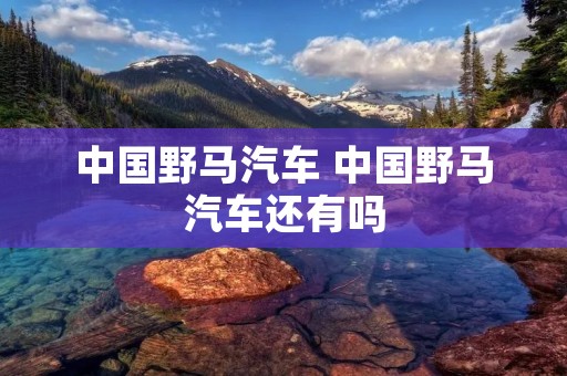 中国野马汽车 中国野马汽车还有吗