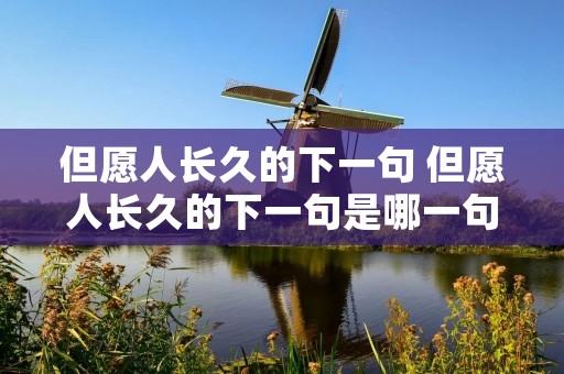 但愿人长久的下一句 但愿人长久的下一句是哪一句 但愿人长久的下一句 但愿人长久的下一句是哪一句