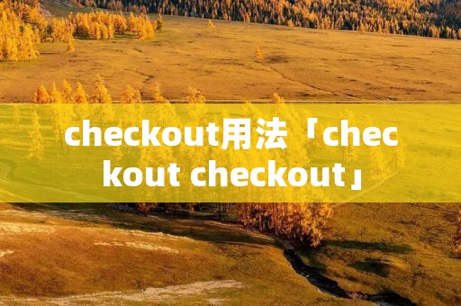 checkout用法「checkout checkout」