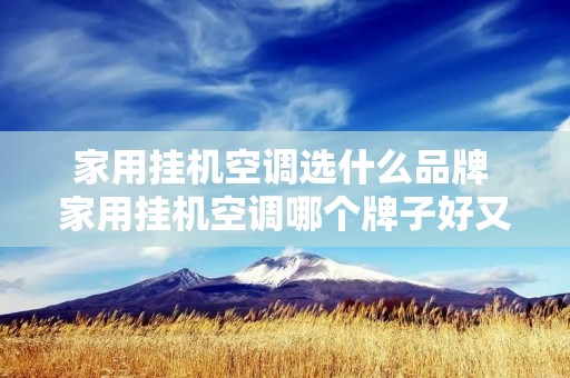 家用挂机空调选什么品牌 家用挂机空调哪个牌子好又实惠省电 家用挂机空调选什么品牌 家用挂机空调哪个牌子好又实惠省电