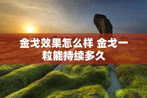 金戈效果怎么样 金戈一粒能持续多久