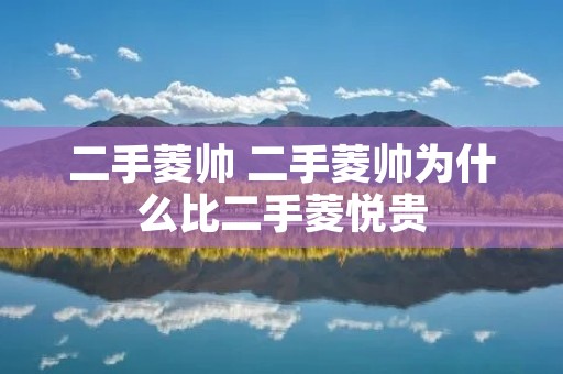 二手菱帅 二手菱帅为什么比二手菱悦贵