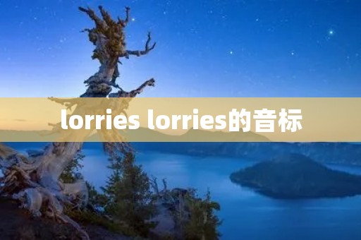 lorries lorries的音标 lorries lorries的音标