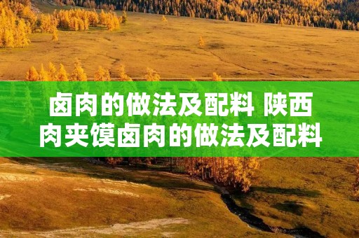 卤肉的做法及配料 陕西肉夹馍卤肉的做法及配料