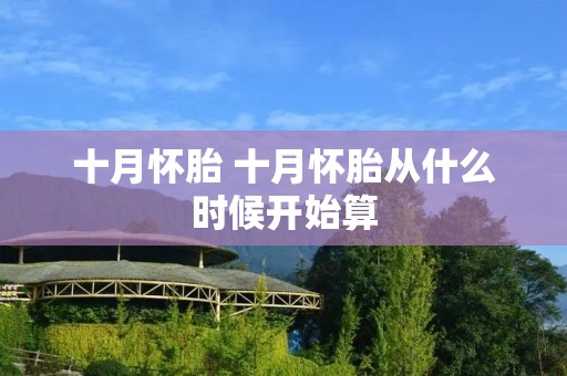 十月怀胎 十月怀胎从什么时候开始算