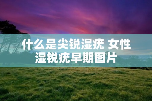 什么是尖锐湿疣 女性湿锐疣早期图片