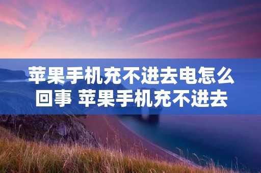 苹果手机充不进去电怎么回事 苹果手机充不进去电怎么回事手机充不进电 苹果手机充不进去电怎么回事 苹果手机充不进去电怎么回事手机充不进电