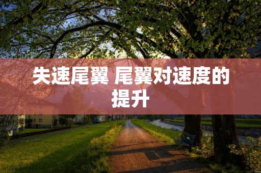 失速尾翼 尾翼对速度的提升