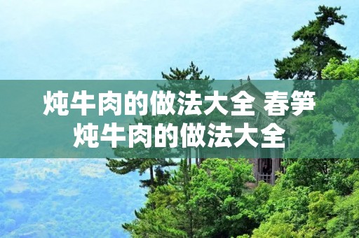 炖牛肉的做法大全 春笋炖牛肉的做法大全