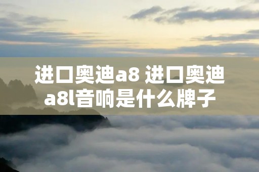 进口奥迪a8 进口奥迪a8l音响是什么牌子 进口奥迪a8 进口奥迪a8l音响是什么牌子