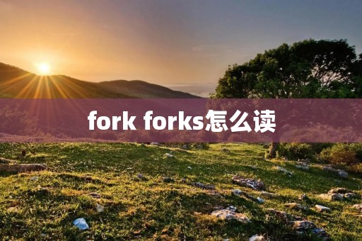 fork forks怎么读