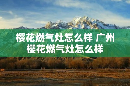樱花燃气灶怎么样 广州樱花燃气灶怎么样