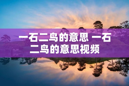 一石二鸟的意思 一石二鸟的意思视频