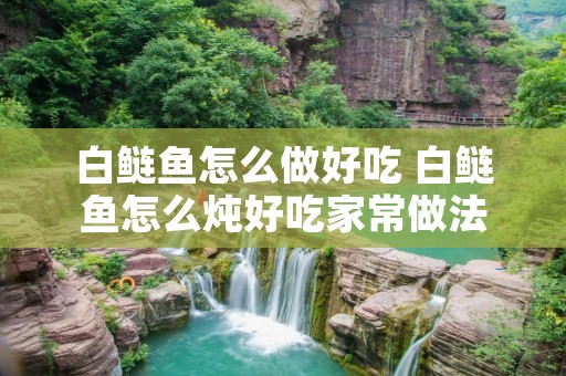 白鲢鱼怎么做好吃 白鲢鱼怎么炖好吃家常做法