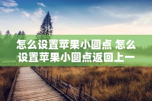 怎么设置苹果小圆点 怎么设置苹果小圆点返回上一界面 怎么设置苹果小圆点 怎么设置苹果小圆点返回上一界面