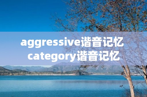 aggressive谐音记忆 category谐音记忆