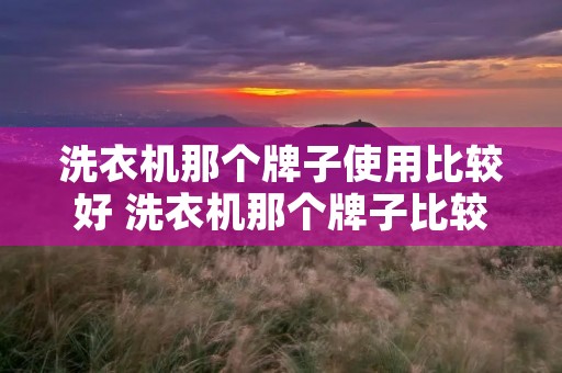 洗衣机那个牌子使用比较好 洗衣机那个牌子比较好,又实惠又好用那个牌子好呢