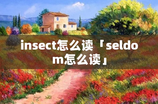 insect怎么读「seldom怎么读」
