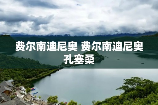 费尔南迪尼奥 费尔南迪尼奥孔塞桑 费尔南迪尼奥 费尔南迪尼奥孔塞桑